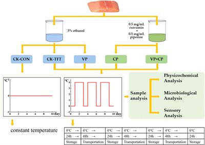 Effects of immersing treatment of curcumin and piperine combined with vacuum packaging on the quality of salmon (Salmo salar) during cold chain logistics